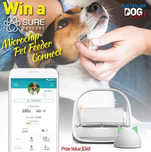 Australian Dog Lover Competition Win a SureFeed Microchip Pet Feeder Connect & Hub valued at 348