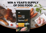 Channel 10 SavourLife Competition: Win a Year’s Supply of Dog Food