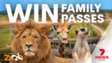 7News Sydney Zoo Competition: Enter the Nightly codeword and win passes at 7news.com.au/sydneyzoo