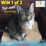 Win 1 of 3 pet-mat heated pads from Australian Cat Lover