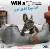 Win a Creatures of Comfort Soft Walled Box Bed valued at up to $439