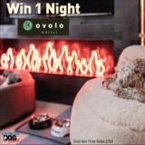 Australian Dog Lover Competition: Win 1 of 2 nights at Olovo Hotels for you and your dog worth $359