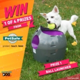 PetSafe Christmas Giveaway: Win 1 of 4 prizes for your dog valued at up to $268