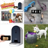 Australian Dog Lover 4th Birthday Bonanza Competition: Win 1 of 33 Prize Packs (total pool of $2,800)
