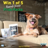 Australian Dog Lover Competition: Win 1 of 5 Rascal Treats Prize Packs