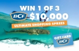 BCF I’m a Celeb Get Me Out of Here Competition: Win 1 of 3 $10,000 shopping sprees