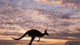 Brisbane Airport Competition: Win flights for 2 to explore Australia