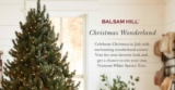 Balsam Hill Christmas Wonderland Giveaway: Win a Vermont White Spruce Tree