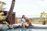 Win a year’s supply of premium dog dinners worth up to $3,800