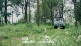 Camplify Competition: Win a Weekend Getaway
