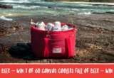 Capital Brewing Competition: Win 1 of 60 canvas coolers full of beer at capitalbrewing.co/cooler