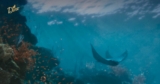 Dine Promotion: Win a luxury trip for 2 to the Great Barrier Reef at dine.com.au/promotions