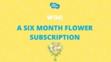 Dishmatic Competition: Win a 6-month flower subscription from The Daily Bunch worth $234