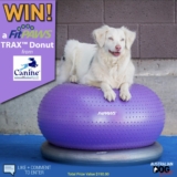 Win a FitPAWS TRAX Donut Ball worth $190 from Australian Dog Lover