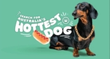 Donut King Hottest Dog Competition: Win gift cards worth up to $500 and more at hottestdog.com.au