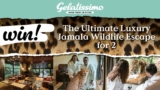 Gelatissimo Banana Choc Competition: Win the Ultimate Luxury Jamala Wildlife Escape for 2 valued at $3,240