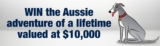 Greyhound Gus Competition: Win the Aussie Adventure of a lifetime valued at $10,000 and more