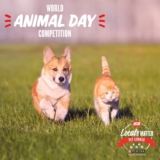 IGA World Animal Day Competition: Win a hamper of Purina pet food
