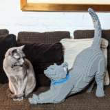 LEGOLAND Cat Day Competition: Win a custom-made LEGO replica of your cat