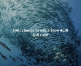 Win a $500 ALDI gift card thanks to the Marine Stewardship Council