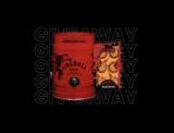 Man of Many is giving away 14,100+ Worth of Prizes For 12 Days of Christmas