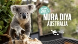 Taronga Zoo Competition: Win a family stay at Taronga’s Wildlife Retreat valued at $1,600