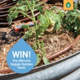 Pope Products Giveaway: Win the ultimate Veggie Garden pack