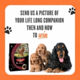 IGA and Purina Giveaway: Win a $100 IGA gift card