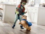Realestate and Carpet Court Competition: Win more than $20,000 worth of pet-friendly flooring for your home