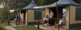 Taronga Zoo 106th birthday Competition: Win an overnight stay at Roar and Snore valued at $745