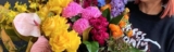 Roses Only Competition: Win a year of flowers valued at $2,500