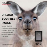 Sandisk Competition: Win a G-DRIVE ArmorATD 2TB