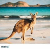 Choosi Competition: Win 1 of 2 $100 Wish gift cards