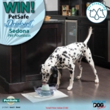 Australian Dog Lover Competition: Win a PetSafe Drinkwell Sedona Pet Fountain worth $180