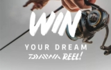 Win your dream Daiwa reel courtesy of Tackle World