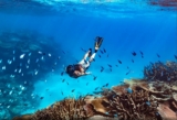 The Courier Mail Competition: Win the ultimate Queensland holiday