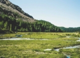 TheLatch sustainability-survey Competition: Win a $500 Westfield gift card