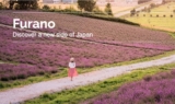 Furano Competition: Win a trip to Japan