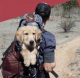 Urban List Moving Abroad Competition: Win $5,000 cash