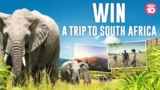 Ten Daily South Africa Competition: Win an adventure to South Africa valued at up to $15,000 at tendaily.com.au