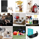 Australian Dog Lover Birthday Bonanza 2018: Win 1 of 24 separate prizes with a prize pool over $3,500
