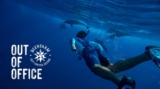 Beerfarm  Out Of Office Competition: Win 1 of 16 epic coast to coast adventures for you and a mate