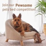 Pawsome Pets Bed Competition: Win 1 of 3 Fantastic Furniture Pet Beds